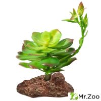 Растение для террариумов Repti-Zoo Эониум, 100*100*160 мм