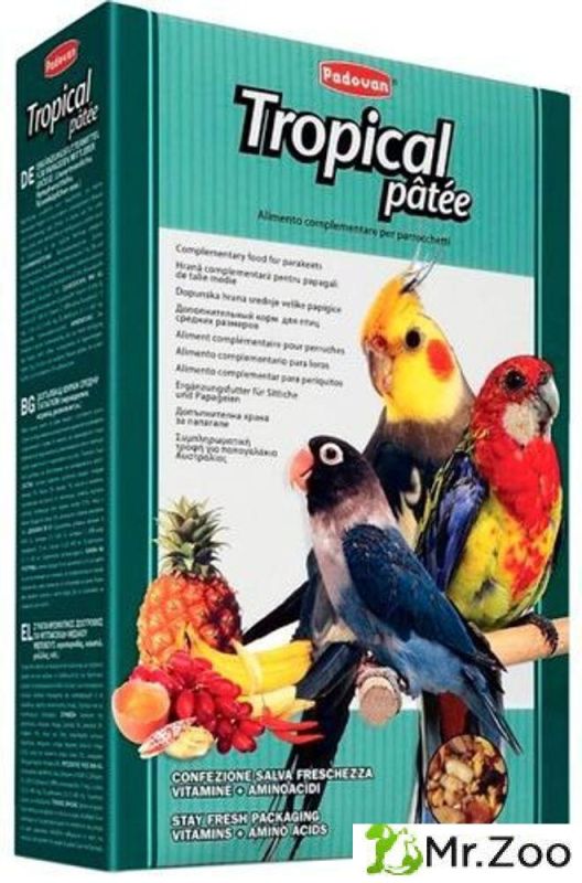Корм Padovan TROPICAL patee для средних попугаев комплексный с фруктами