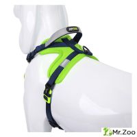 Шлейка для собак JOYSER Walk Soft Harness XL/910*25*5 зеленая
