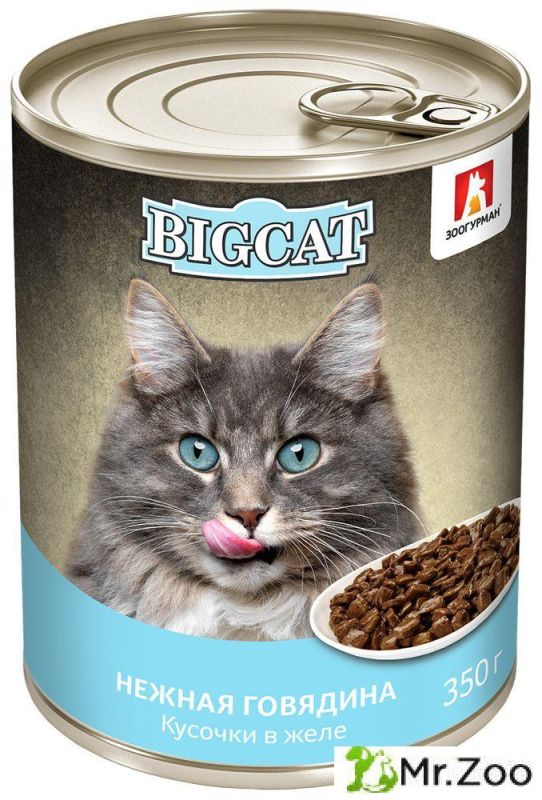 Зоогурман BIG CAT влажный корм для кошек говядина кусочки в желе