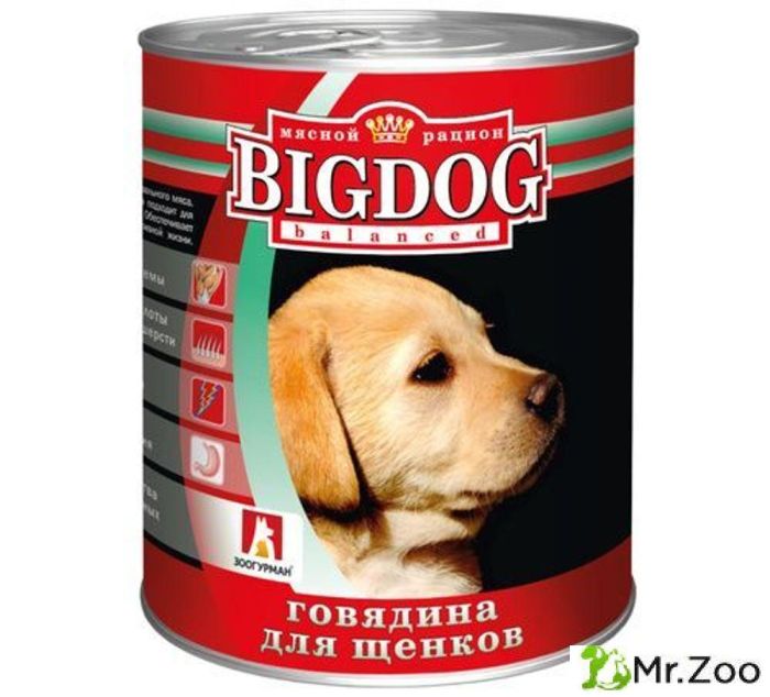 Зоогурман "BIG DOG" влажный корм для щенков с говядиной