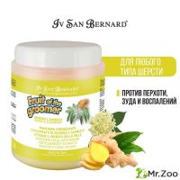 Маска Iv San Bernard Fruit of the Groomer Ginger&Elderbery восстанавливающая с противовоспалительным эффектом