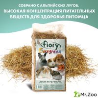 FIORY сено для гызунов Evergreen 1 кг (30 л)